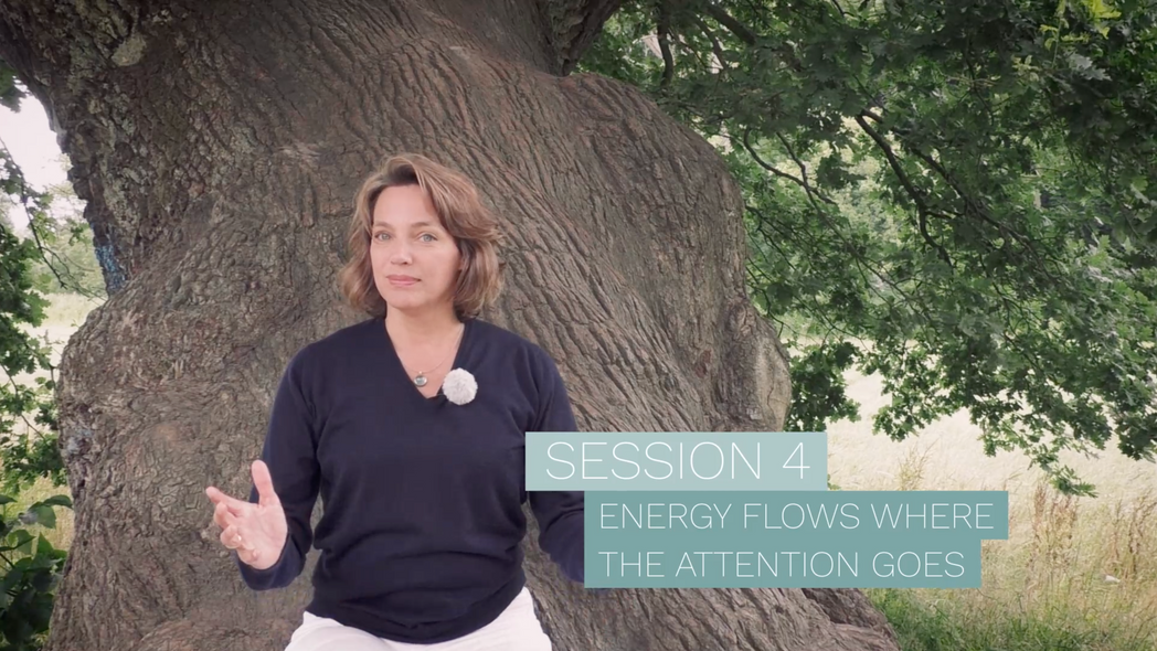 Session 4 - Energy flows where the attention goes
